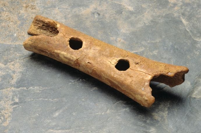 Oldest flute found by humans