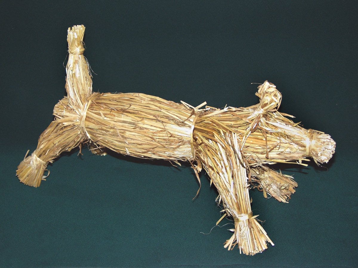 Orkney Library on X: "Today is #InternationalDogDay so here is a photograph  from the #Archives of a straw dog, known in #Orkney as a 'bikko.' The bikko  was an unwelcome gift, given