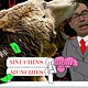 The Broken Markets