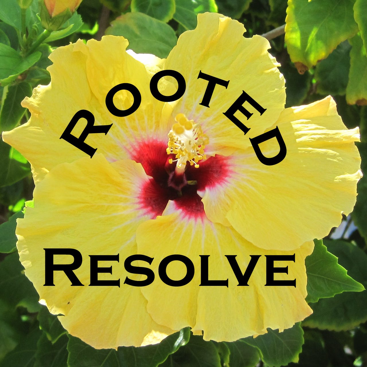 Rooted Resolve logo