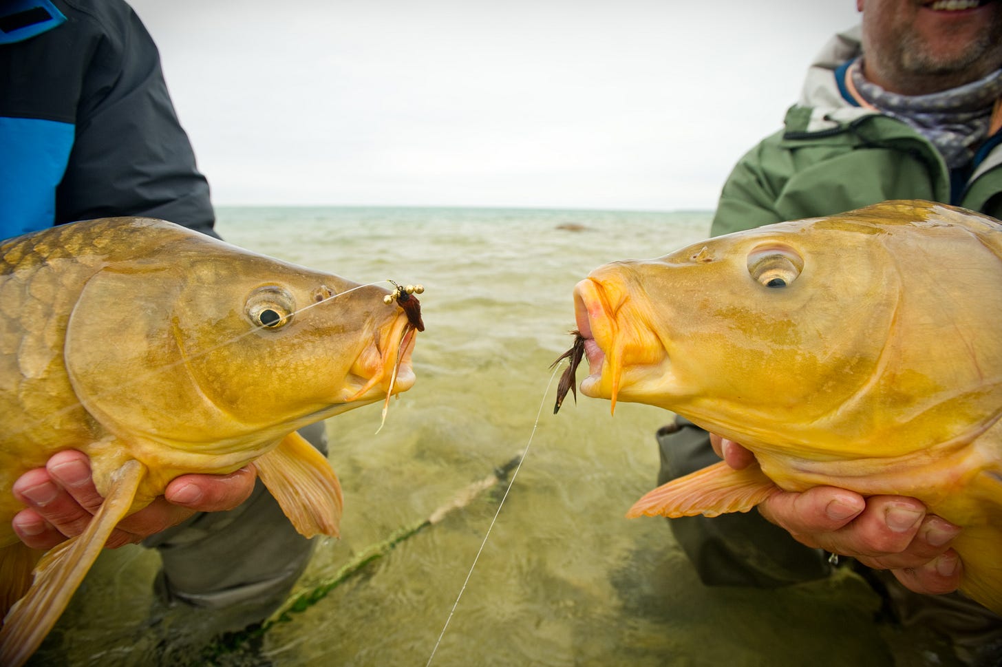 The hoovering lips of two Beaver Island flats tailers, Lake Michigan.