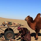 From Abroad: the Gift of Souvenirs