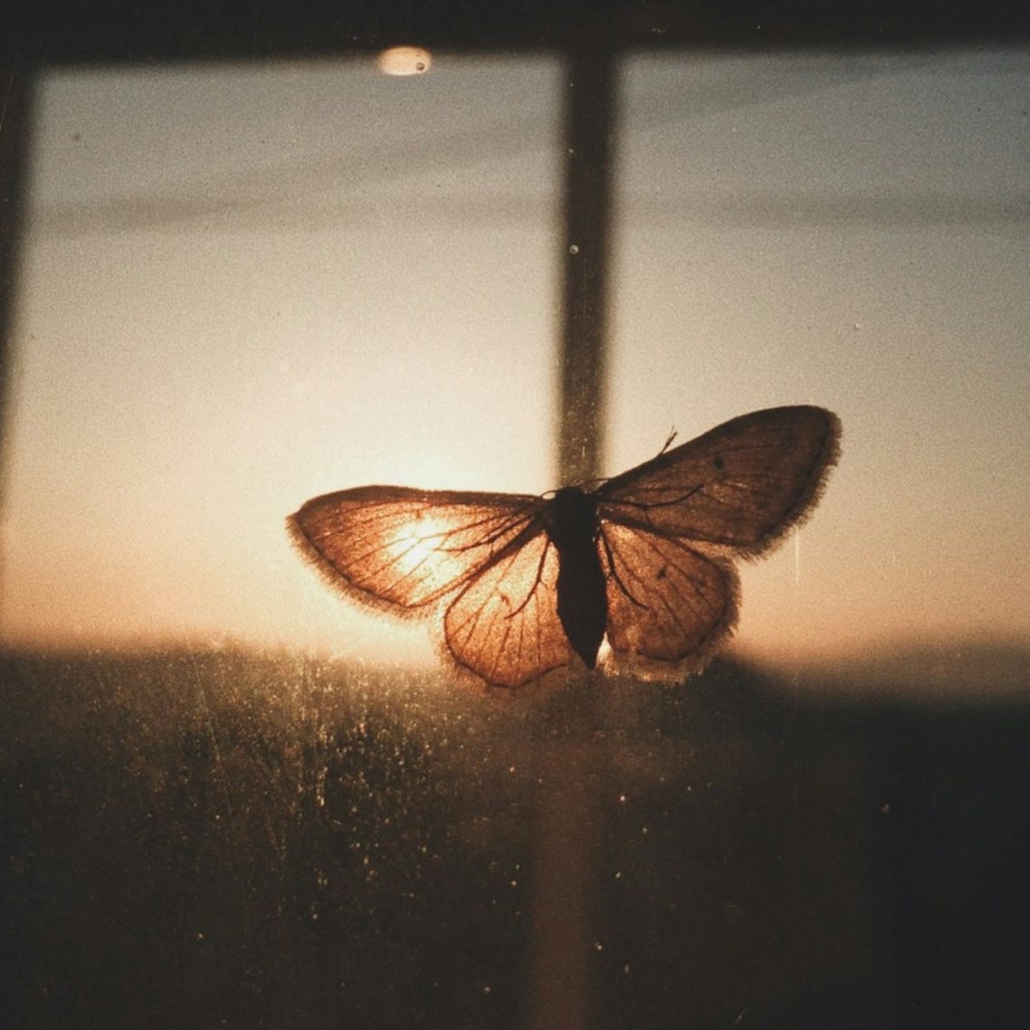 Elizabeth’s Substack - It's The Small Things