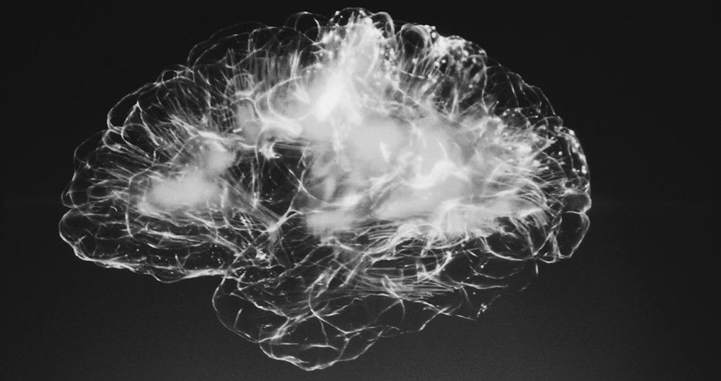 a black and white photo of a brain a black and white photo of a brain