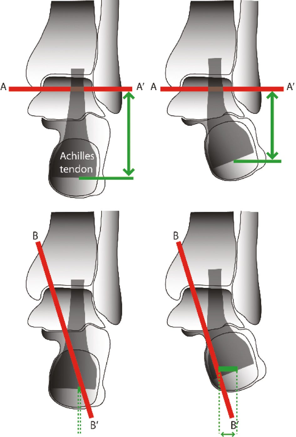 jposna20220038_fig4.jpg
