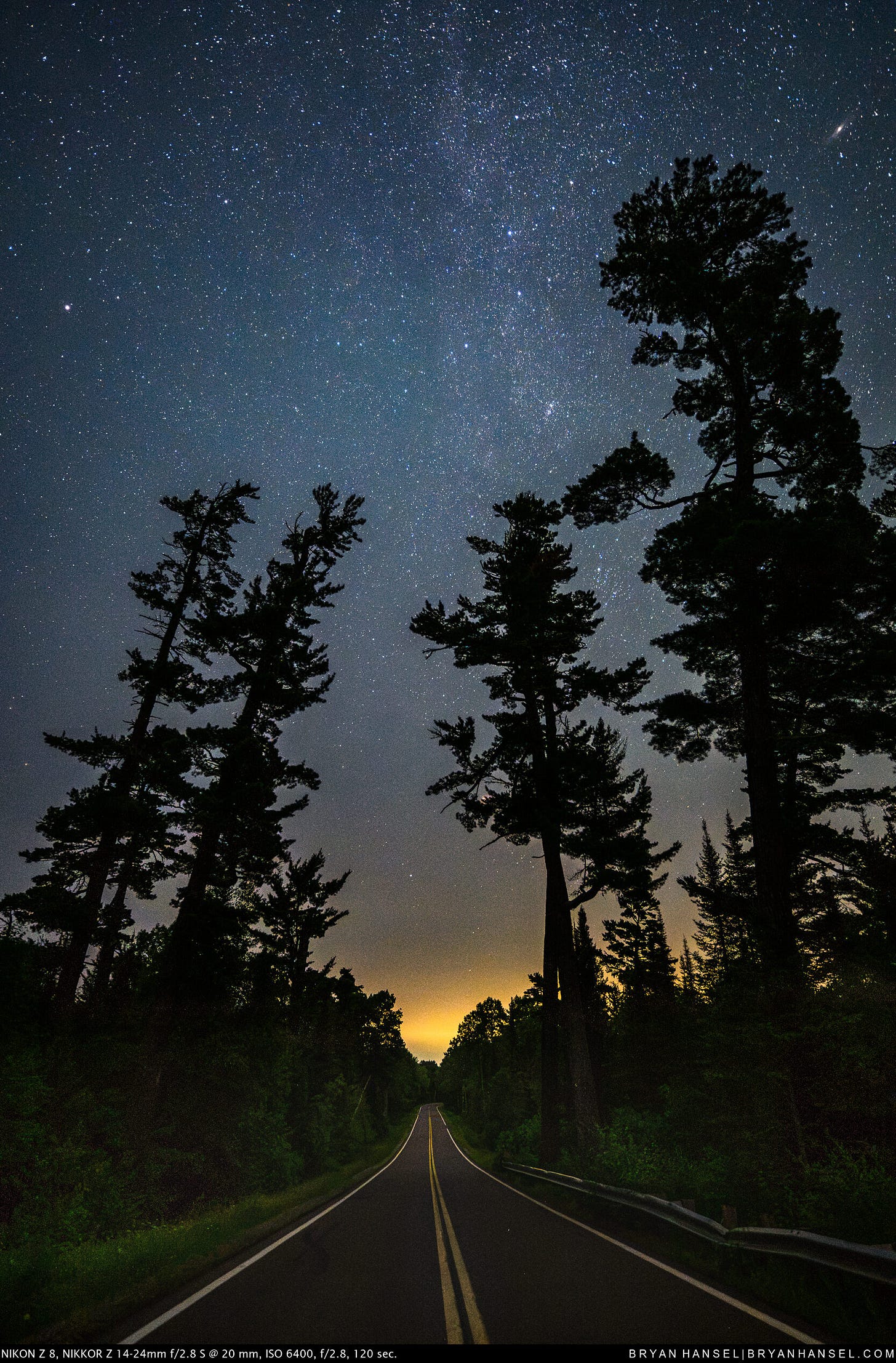 Old growth white pines over the Gunflint Trail in northern MN.