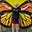 Lisa Brunette's avatar