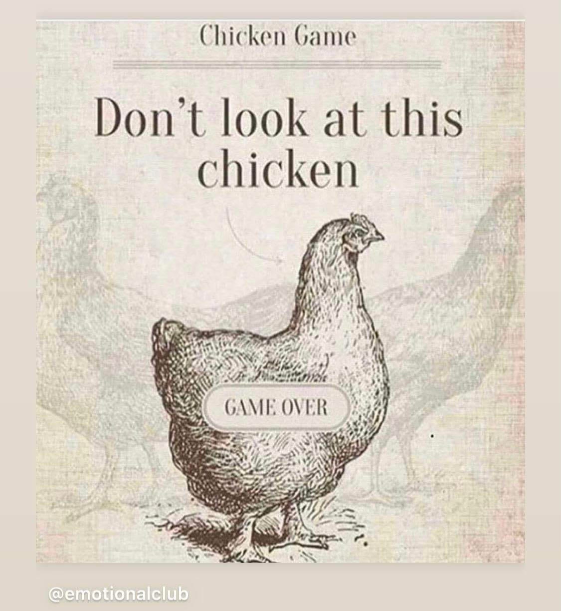Meme about a chicken game