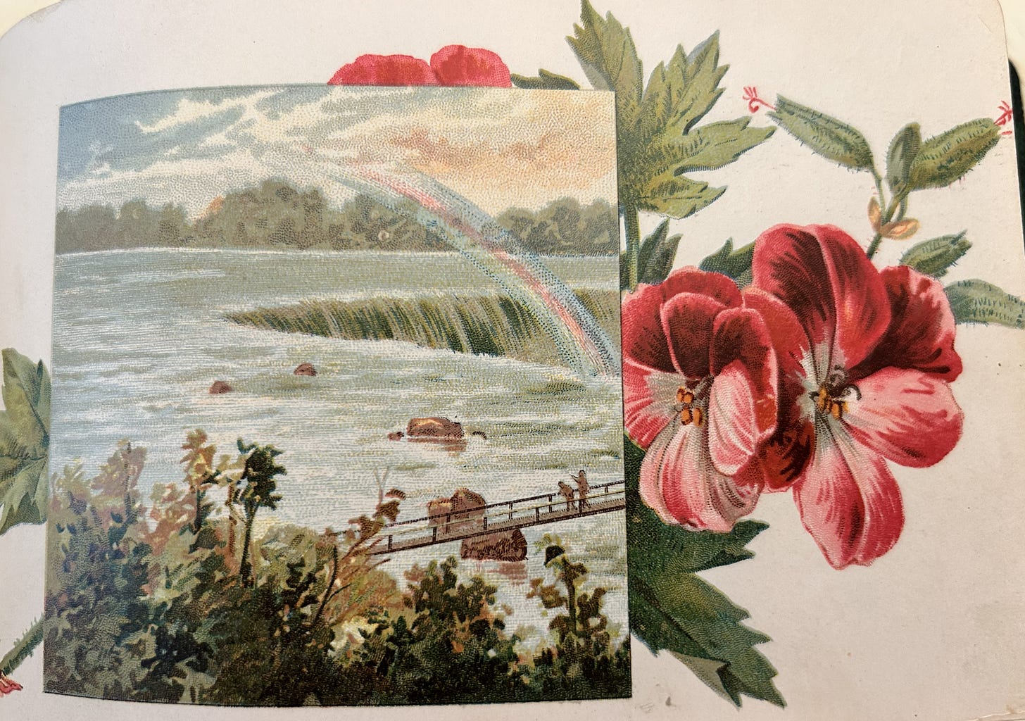 Artwork from Daisy's Autograph Book