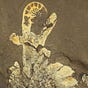 Anomalocarides's avatar