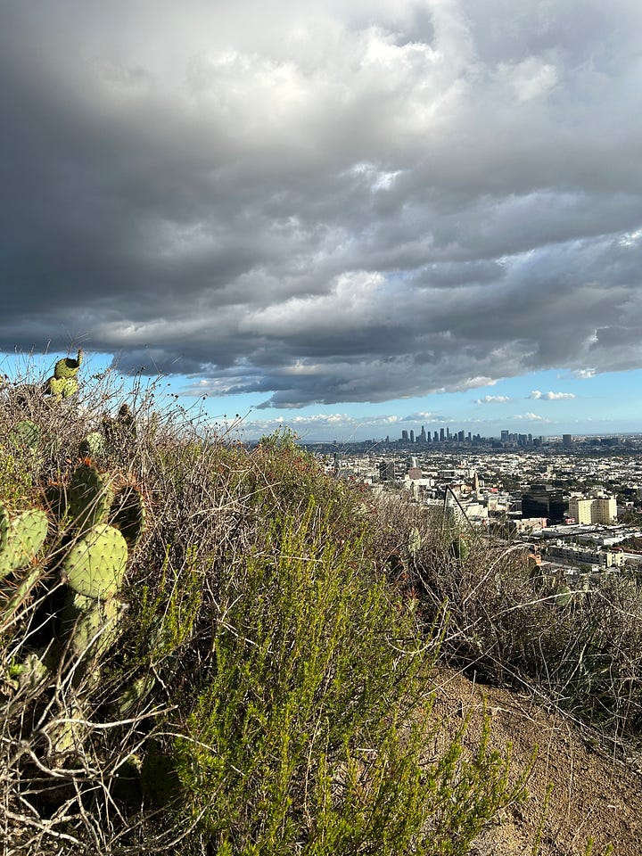 The view of DTLA from Runyon Canyon, including through a fence with multiple locks attached to it, as well as the view of the Hollywood Sign.