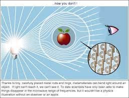 Has anyone seen my invisibility cloak? › Bernie's Basics (ABC Science)