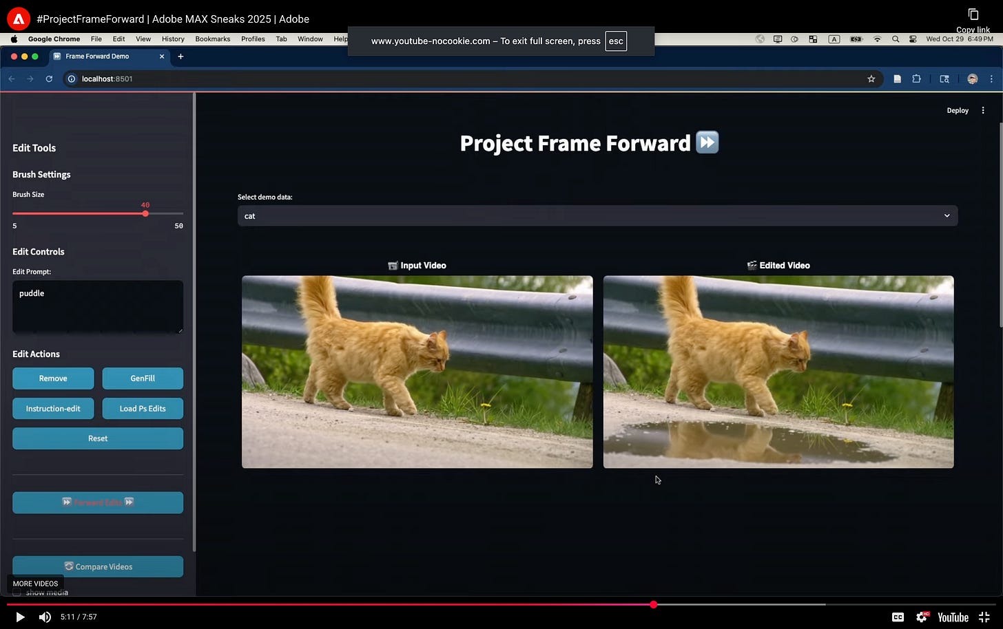 Adobe MAX Sneaks 2025 demo of Project Frame Forward showing a cat video edited to add a puddle reflection.