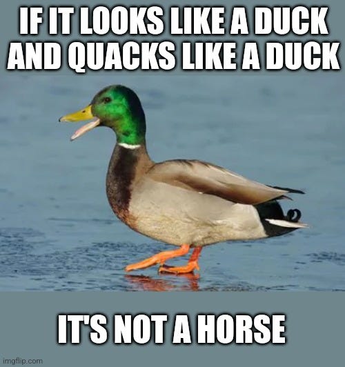 Duck Test - Imgflip