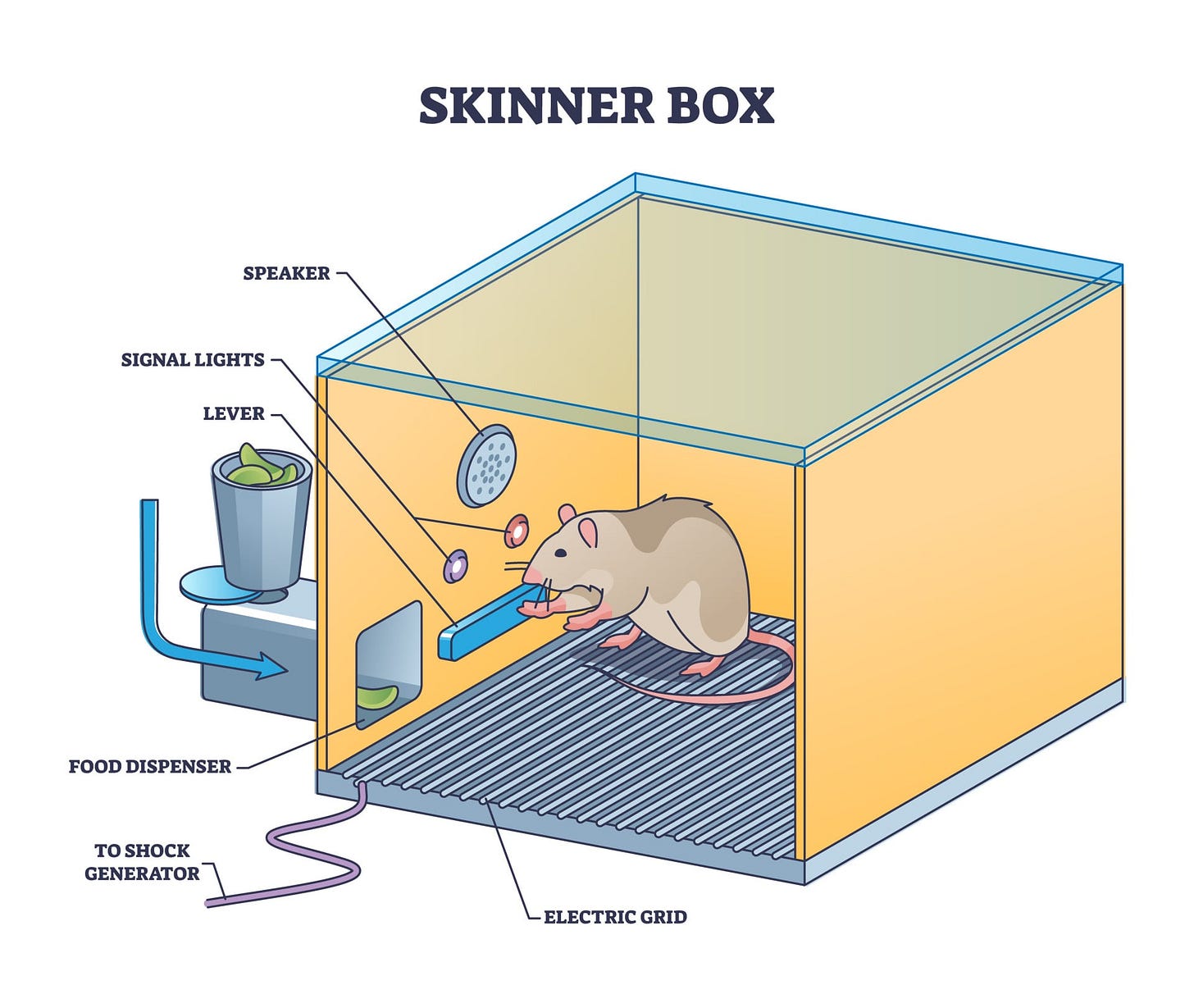 Skinner box or operant conditioning chamber experiment outline diagram. Labeled educational laboratory apparatus structure for mouse or rat experiment to understand animal behavior vector illustration Skinner box or operant conditioning chamber experiment outline diagram.