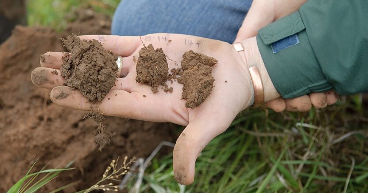 Foto das mãos de uma pessoa segurando uma porção de terra marrom retirada do solo para ser analisada.