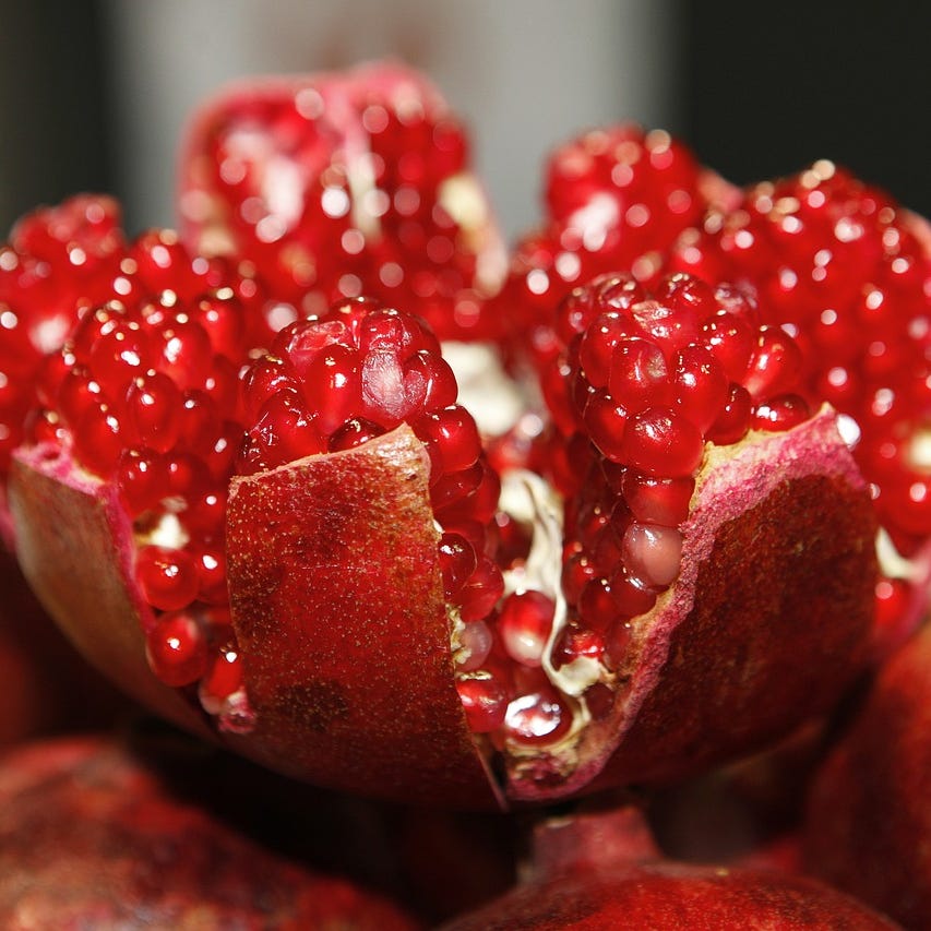 The Pomegranate