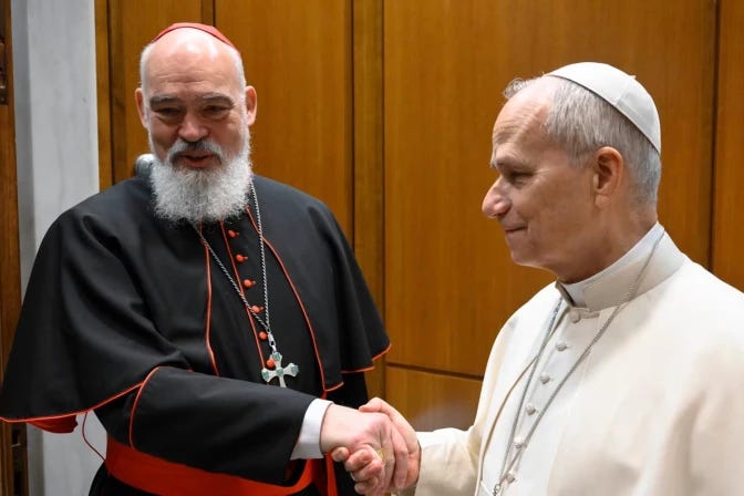 El Arzobispo de Teherán-Isfahán, Cardenal Dominique Mathieu, se reunió con el Papa León XIV