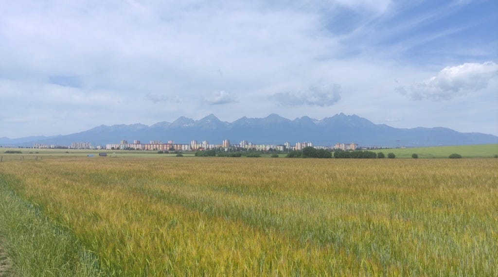 A large cornfield fills the screen, with a flat town in the distance and the High Tatras rising behind.