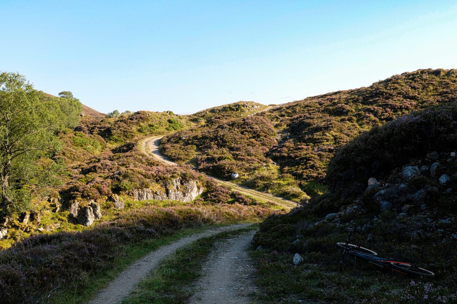 A winding switchback trail descends into a gully. The path is bordered by purple heather and old, twisted trees, creating a dramatic Highland scene.