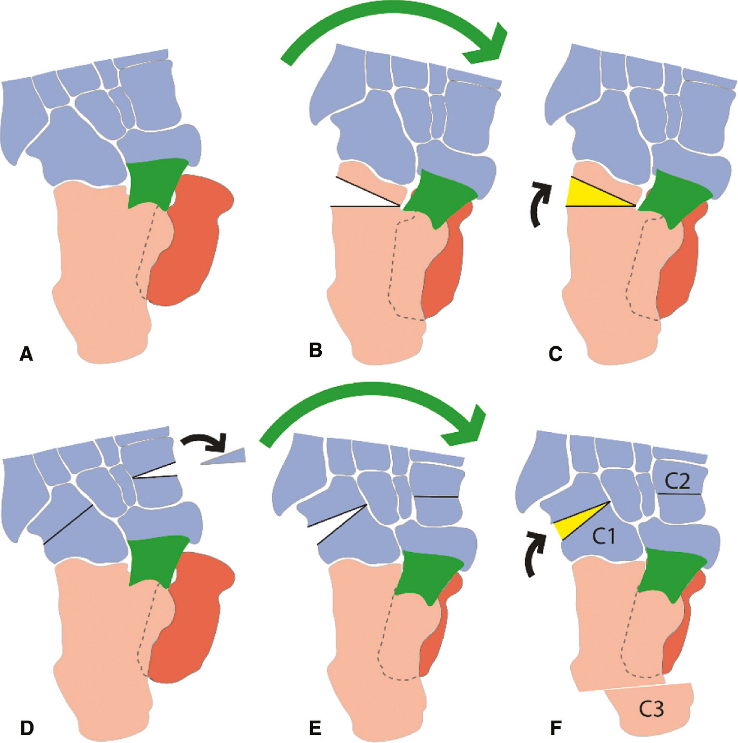 jposna20220038_fig7.jpg