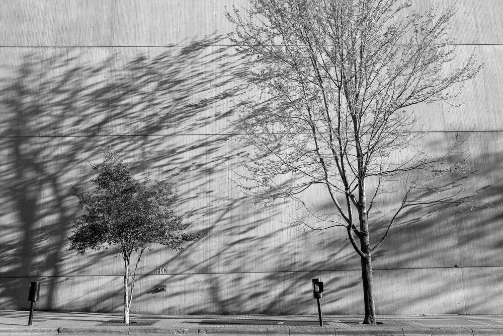 L1003635.jpg L1003635.jpg