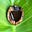 DIRT plantable poetry's avatar