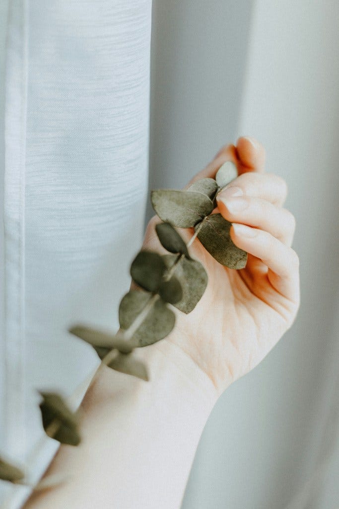 How to Live in Alignment with Your Values