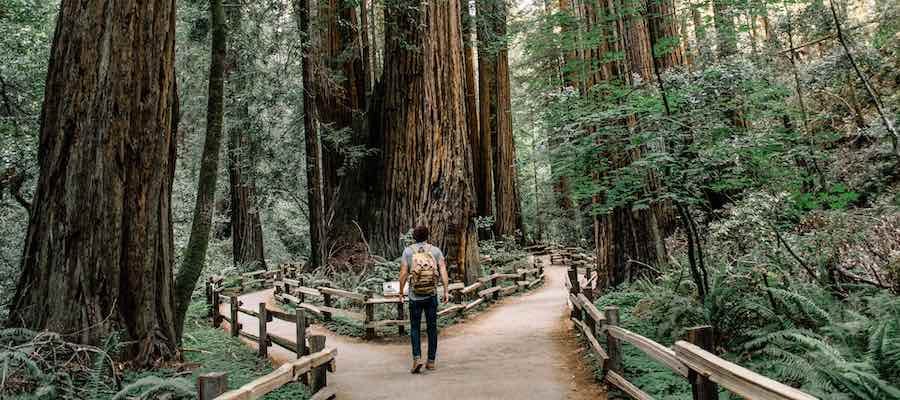 Man facing decision of two paths in the forest Man facing decision of two paths in the forest