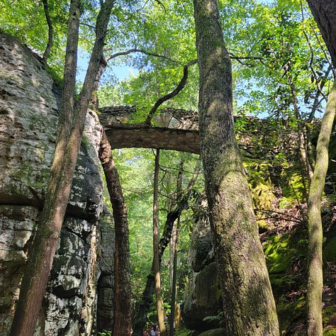 Rock City Gardens