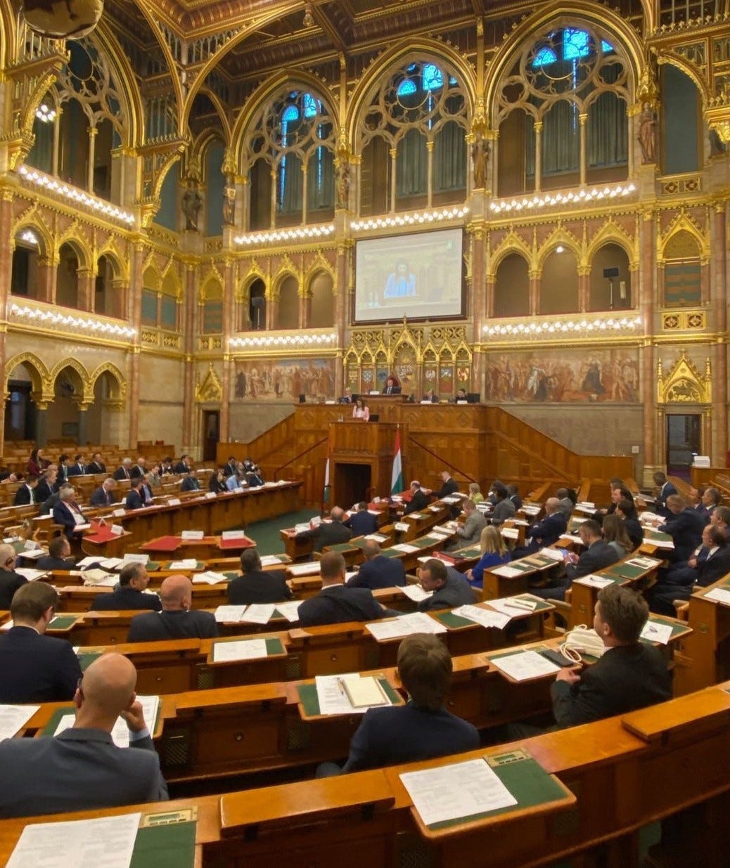 Anne at the Hungarian Parliament