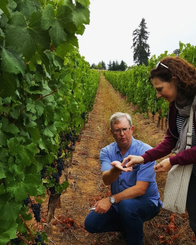 oregon wine tours