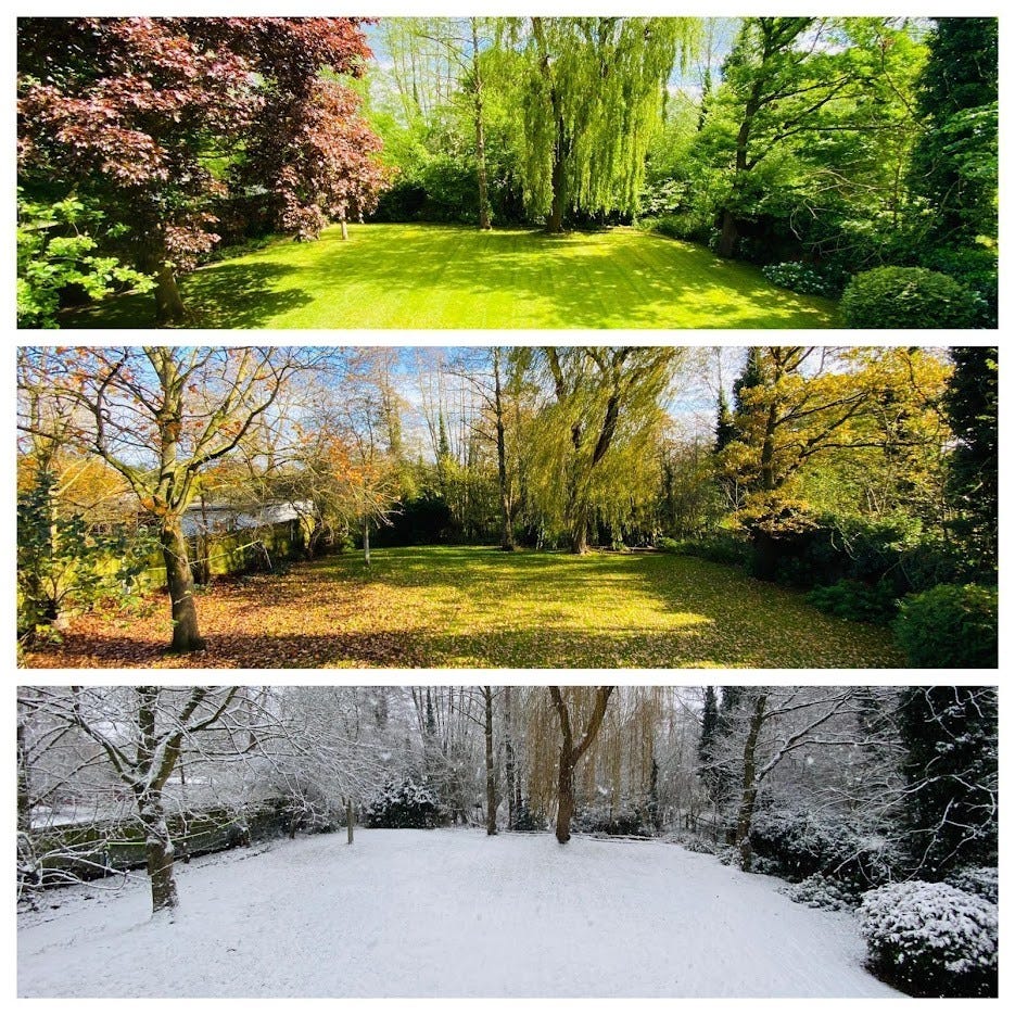 No alt text provided for this image