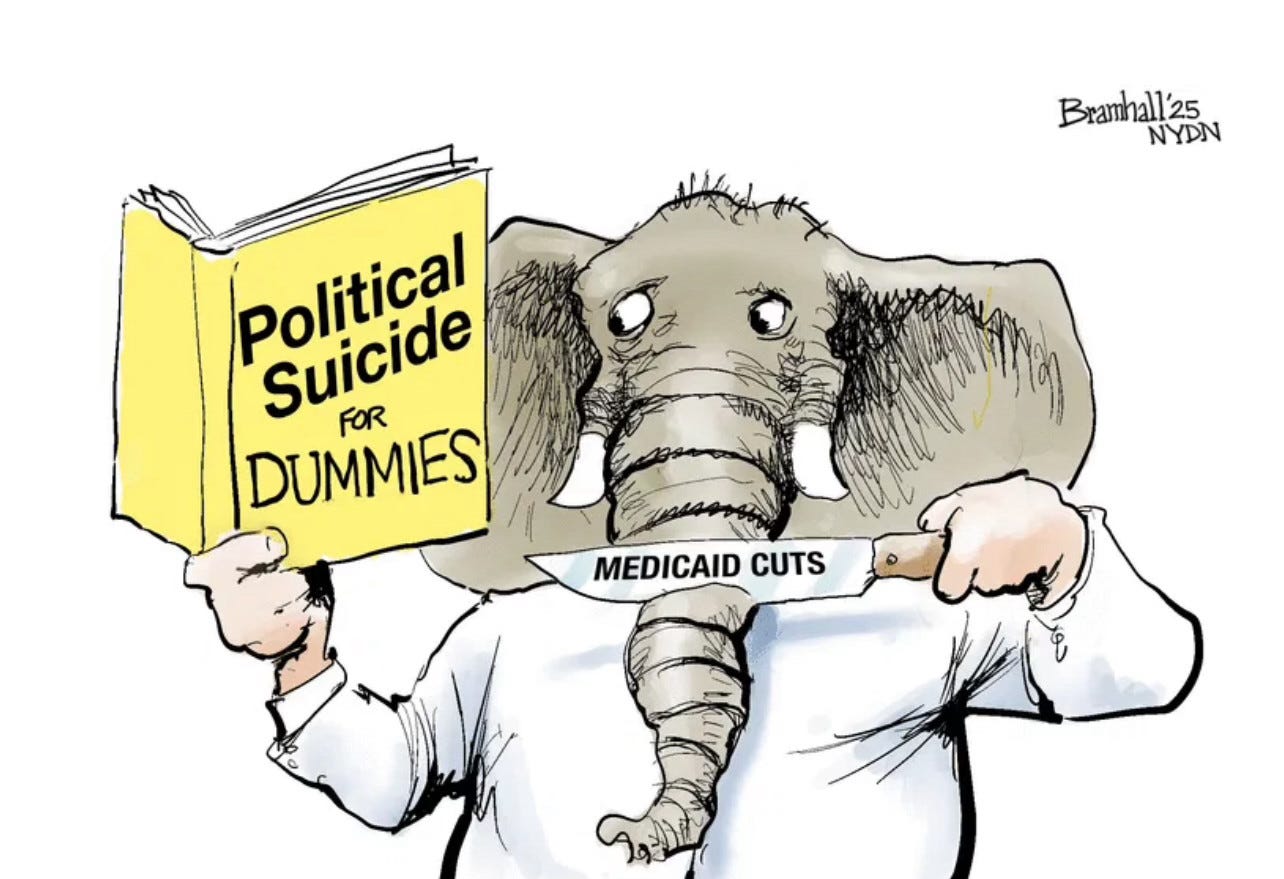 An elephant holds book titled Political Suicide for Dummies in one hand, and with his other hand he cuts off his trunk with a knife that reads Medicaid cuts.