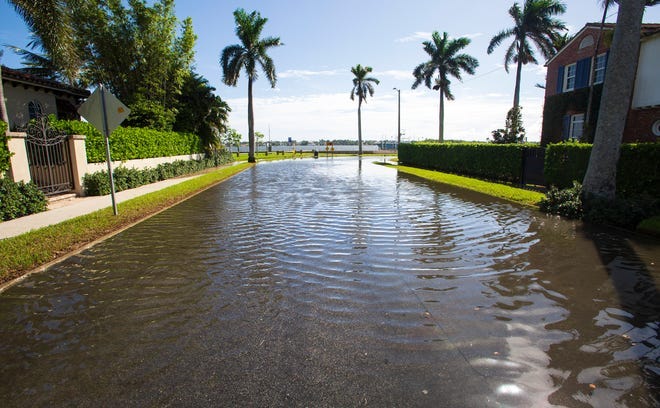 Climate change: Sea level rise causes record king tide water highs