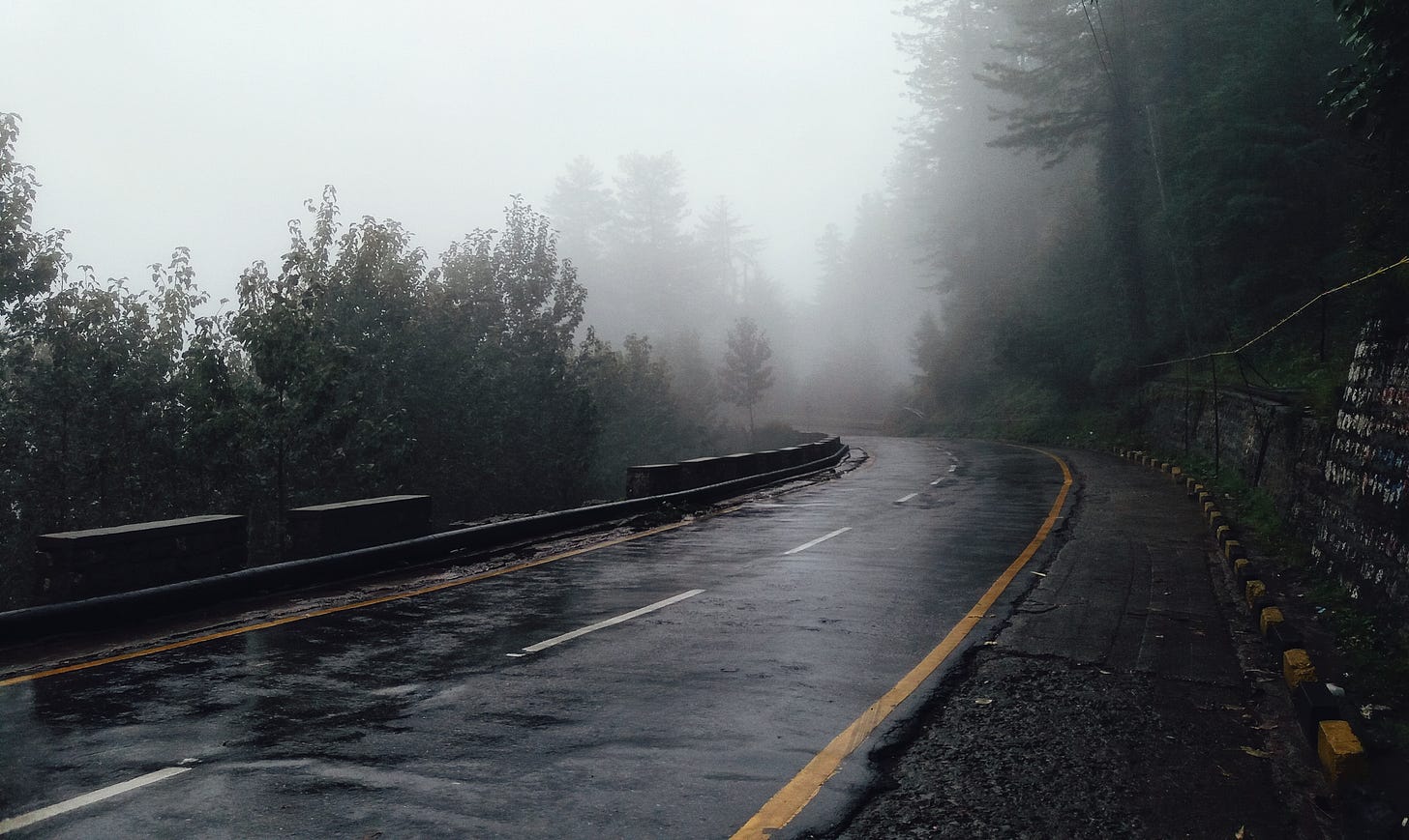 view_of_a_foggy_road view_of_a_foggy_road