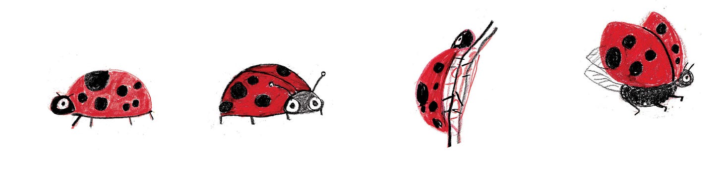 ladybug character study be Beth Spencer
