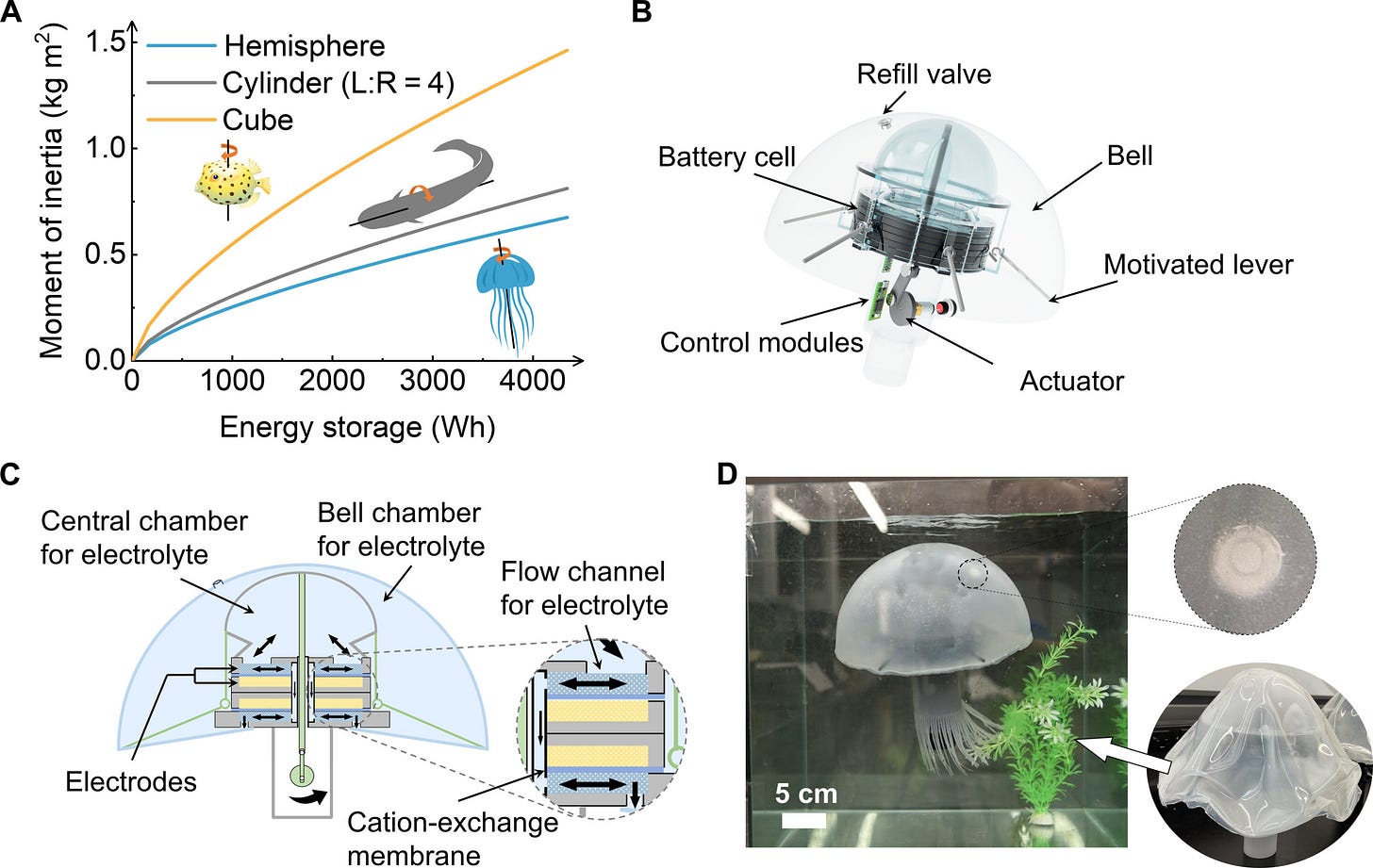 'Embodied energy' powers modular worm, jellyfish robots