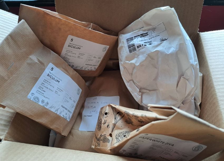Box of Bulbs copyright Anne Wareham