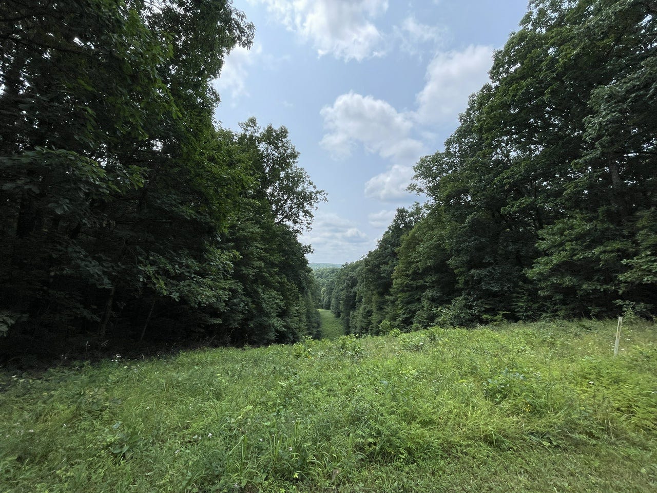 a meadow path a meadow path