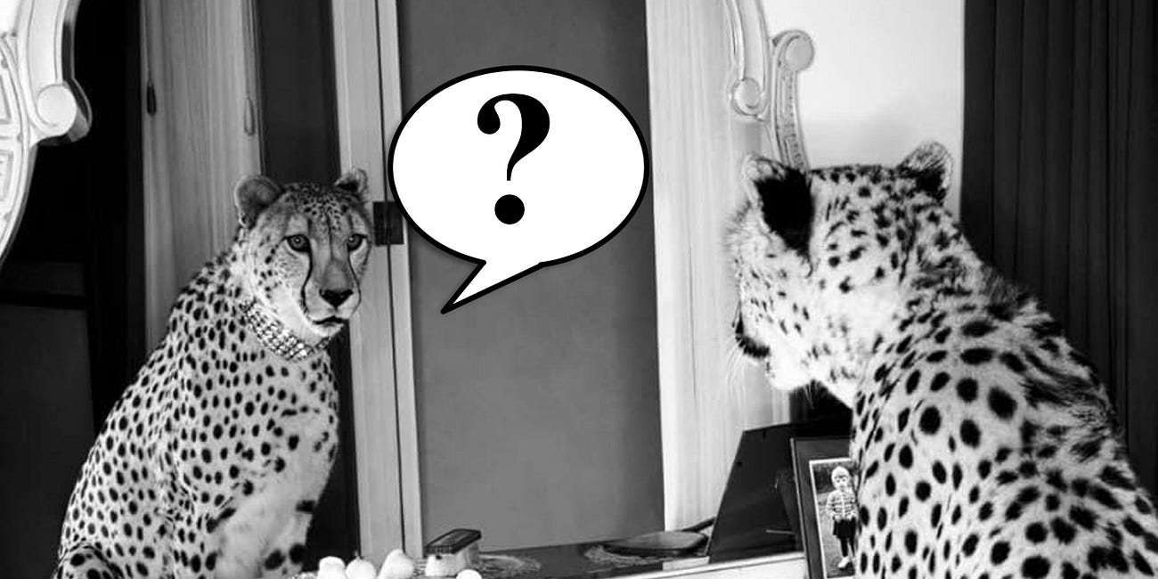Your Biggest Dark Spot Questions, Answered
