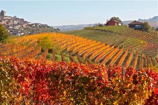 Awine – landscape 3 Awine – landscape 3