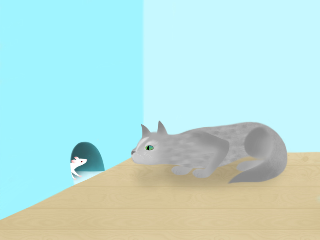 Cat_and_Mouse