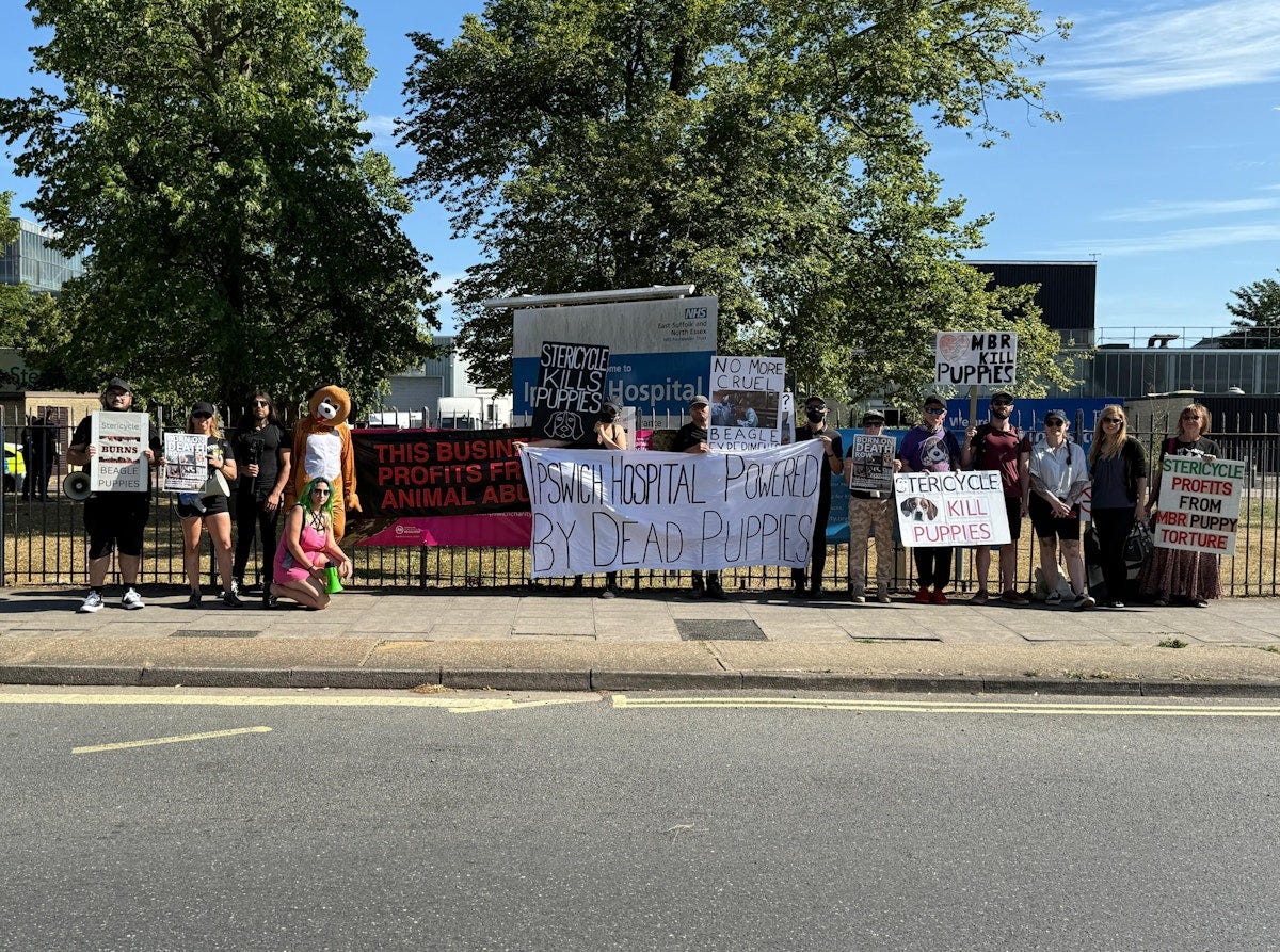 'Ipswich Hospital powered by dead puppies' claim activists at protest 