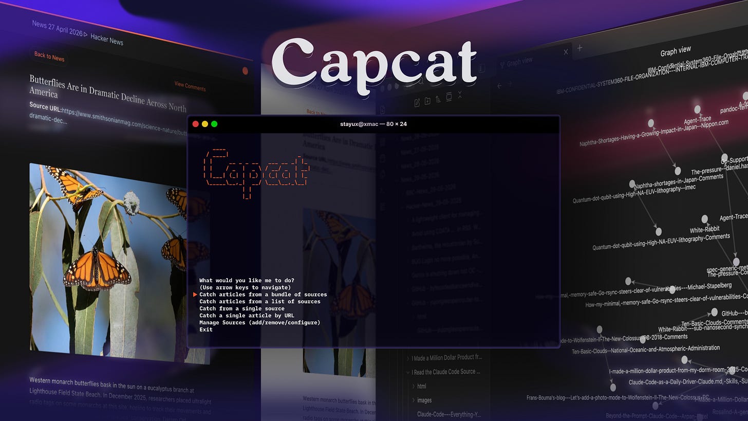 Capcat Case Study Hero Image