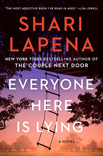 Everyone Here Is Lying: A Novel See more