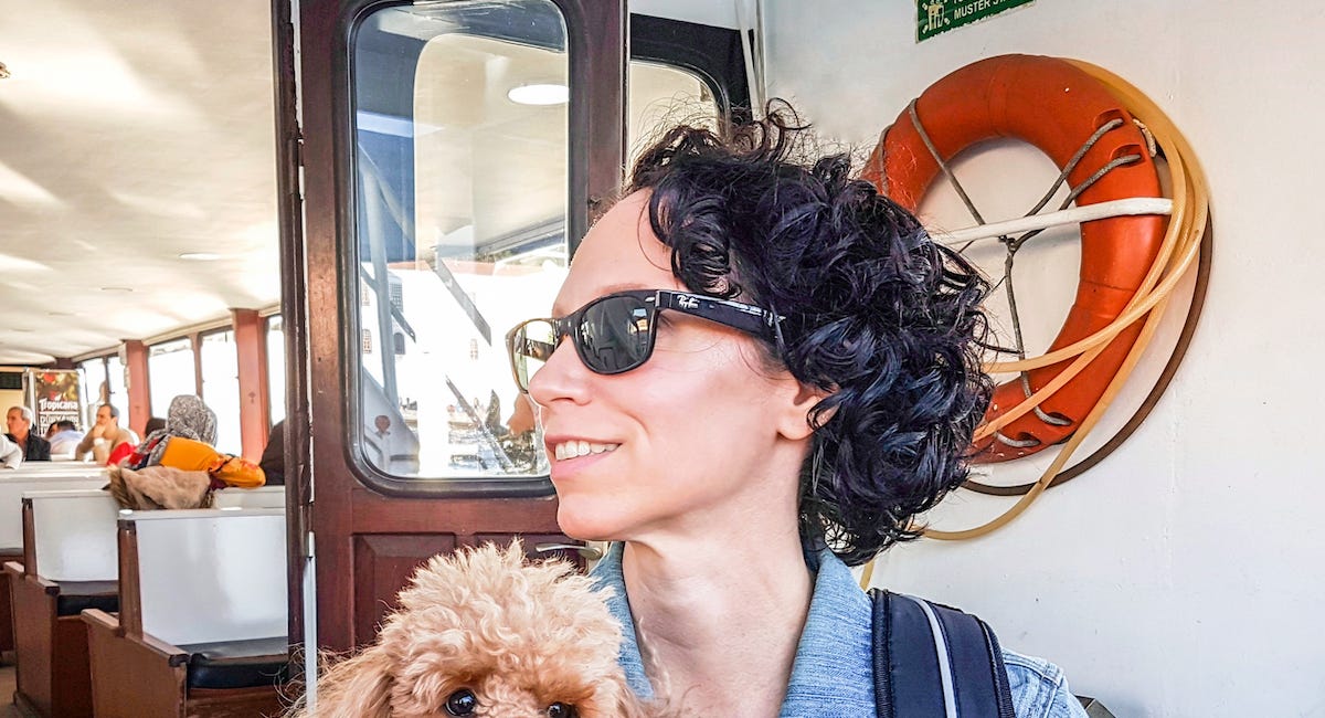 The Ultimate Guide to Traveling with a Dog