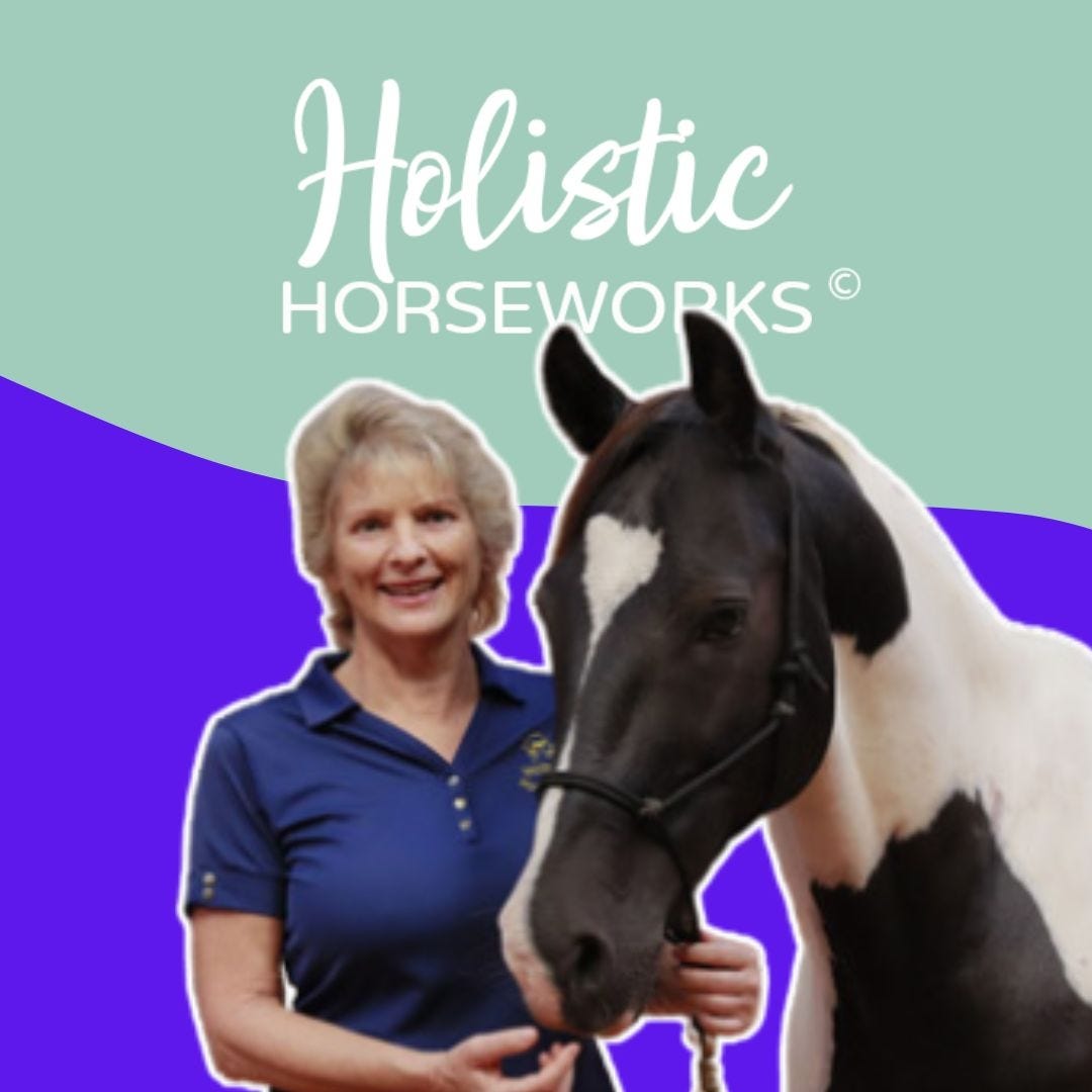 Holistic Horseworks with April Love logo