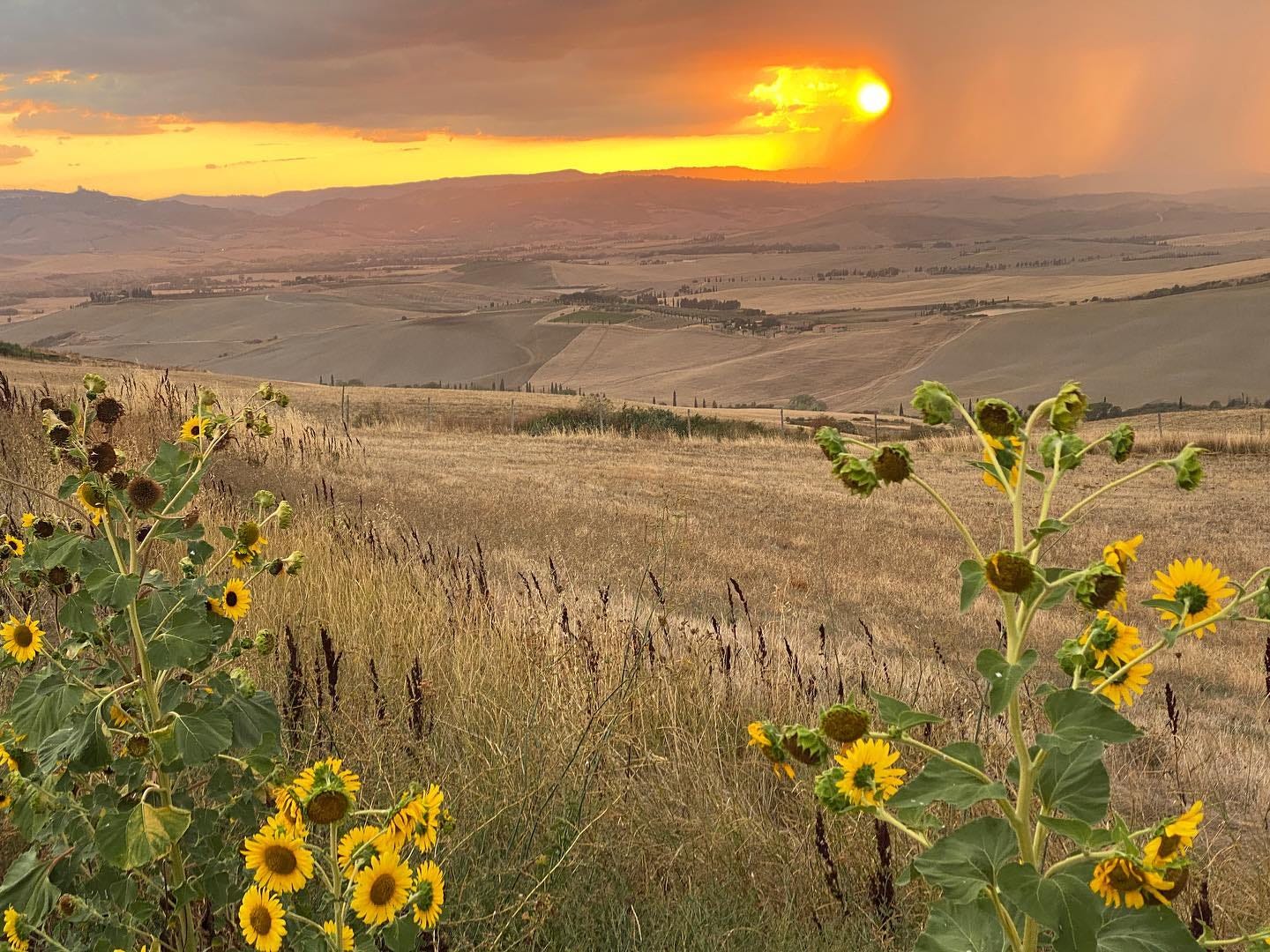 landscape from a recent trip to Tuscany. For more: https://www.instagram.com/jakehirschallen/ landscape from a recent trip to Tuscany. For more: https://www.instagram.com/jakehirschallen/