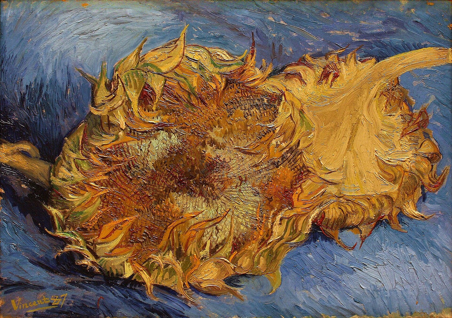 Sunflowers by Vincent van Gogh, 1887: cut sunflower heads lying on their side, gone to seed Sunflowers by Vincent van Gogh, 1887: cut sunflower heads lying on their side, gone to seed
